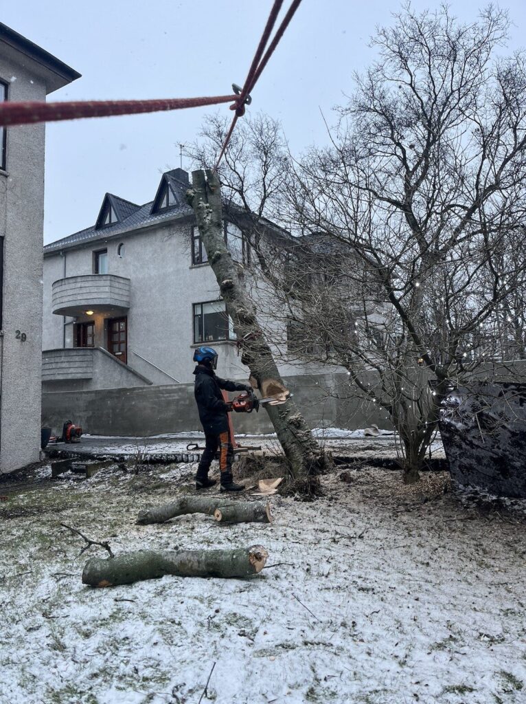 Screenshot 2025-11-06 at 12.10.24