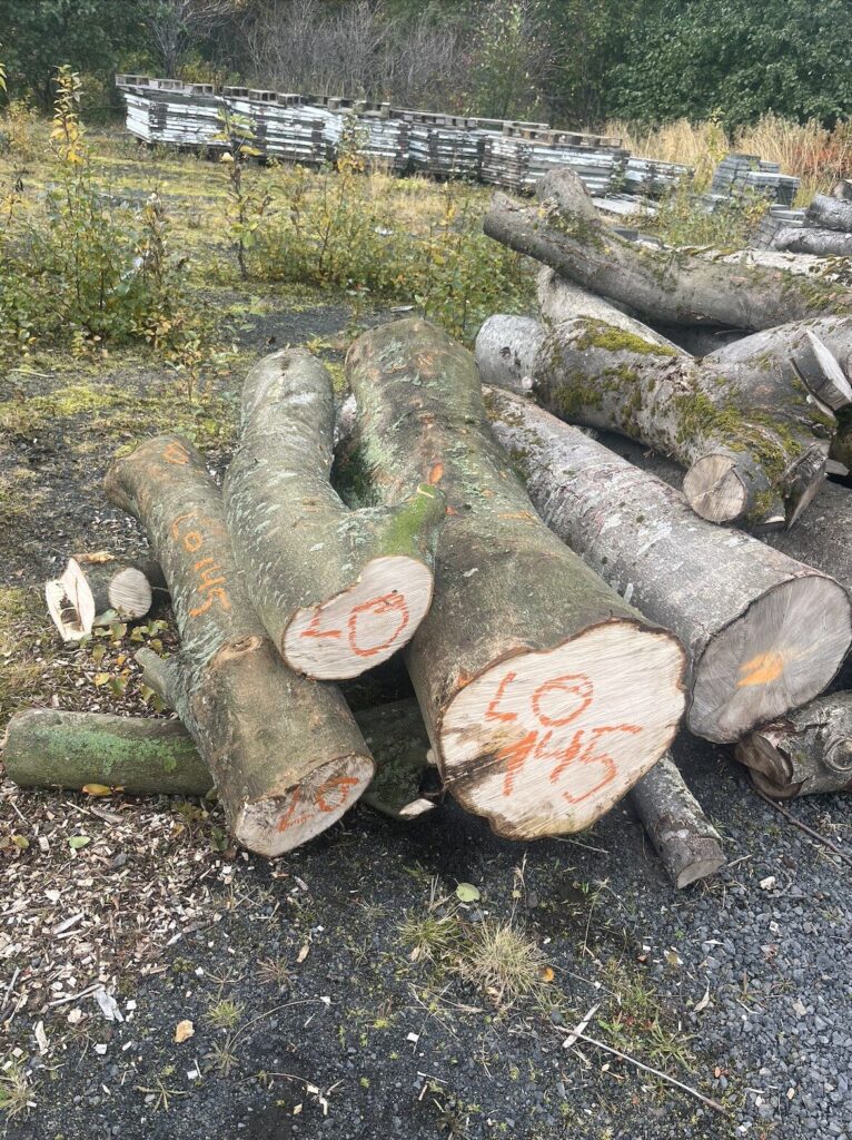 Screenshot 2025-11-06 at 13.12.56